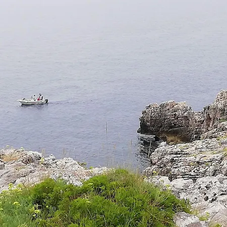 Puce * Corsano (Apulia)