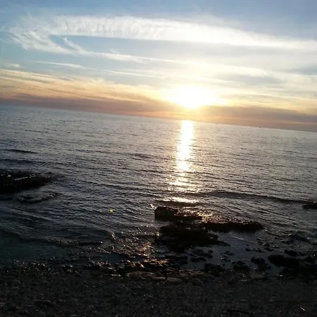 Puce * Corsano (Apulia)
