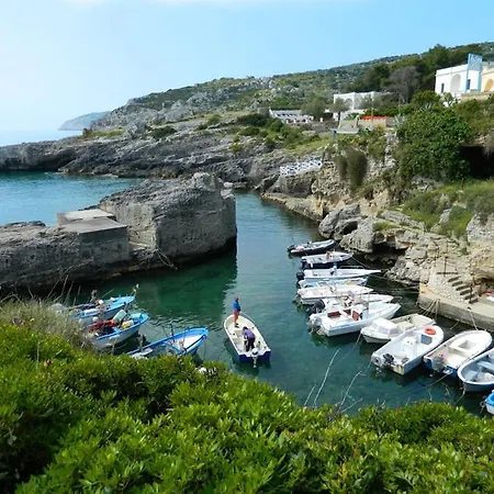 Puce * Corsano (Apulia)