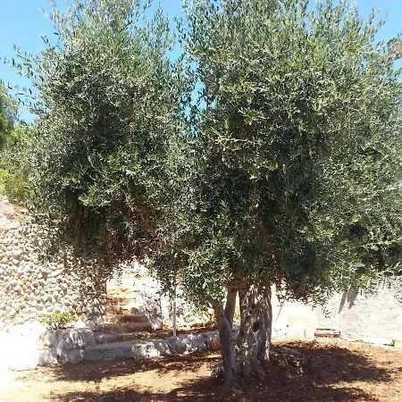 Puce Corsano (Apulia)