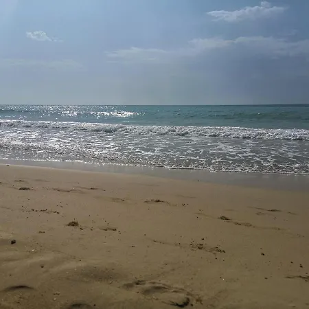Puce * Corsano (Apulia)